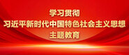 8090草逼视频学习贯彻习近平新时代中国特色社会主义思想主题教育_fororder_ad-371X160(2)